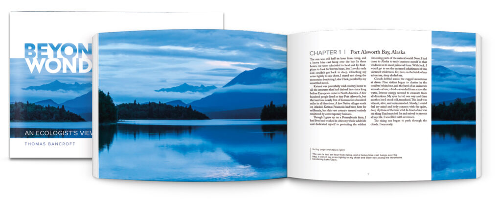 Interior book spread on top of the exterior cover for Beyond the Wonder.