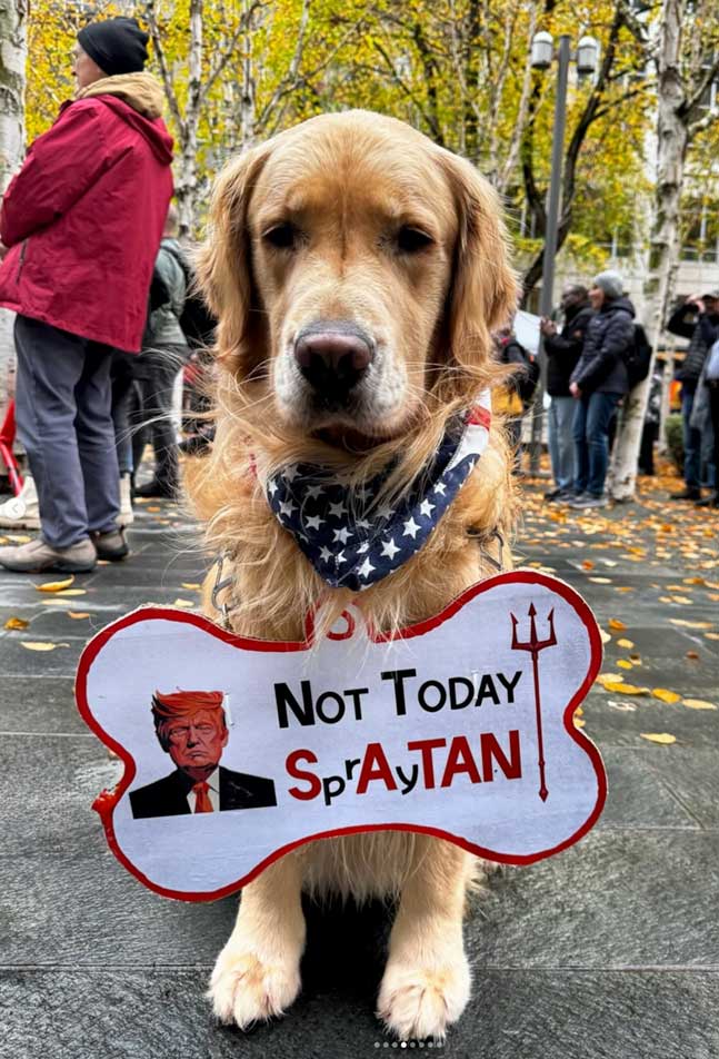 Dash Dog, being a very good boy, wearing the protest sign.