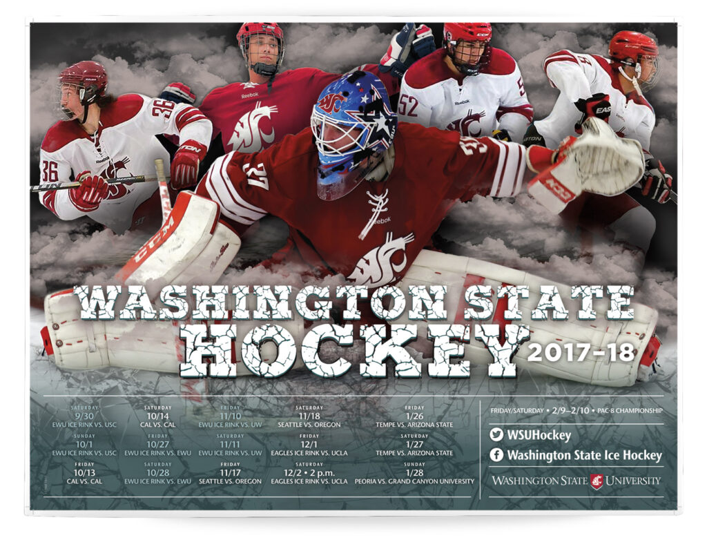 mens hockey poster18