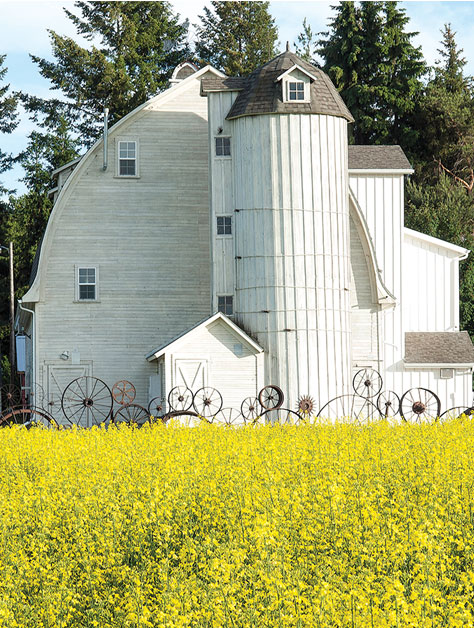 tallbarn
